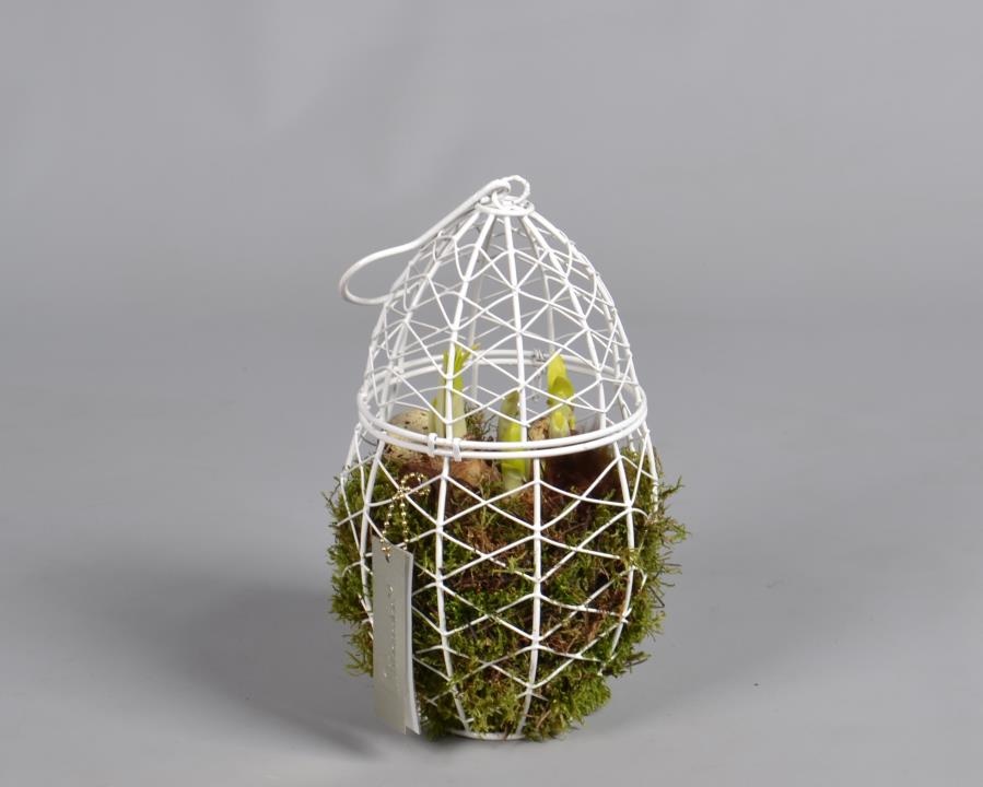 Metaal rek met Narcis Tat, D 13