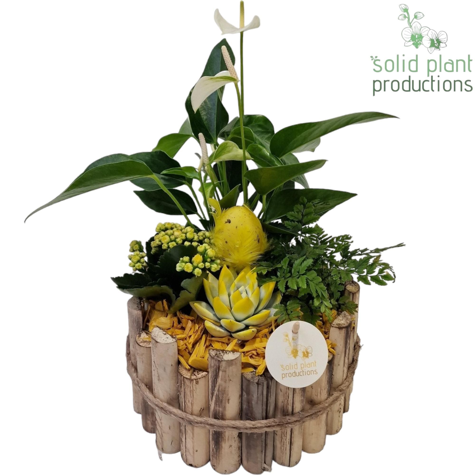 HPAE002 Milano Large Yellow, D 23