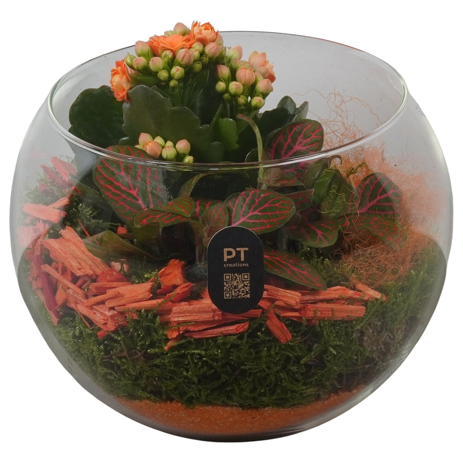 PTHG8213 Arrangement Autumn Glass in glazen vissenkom, D 16