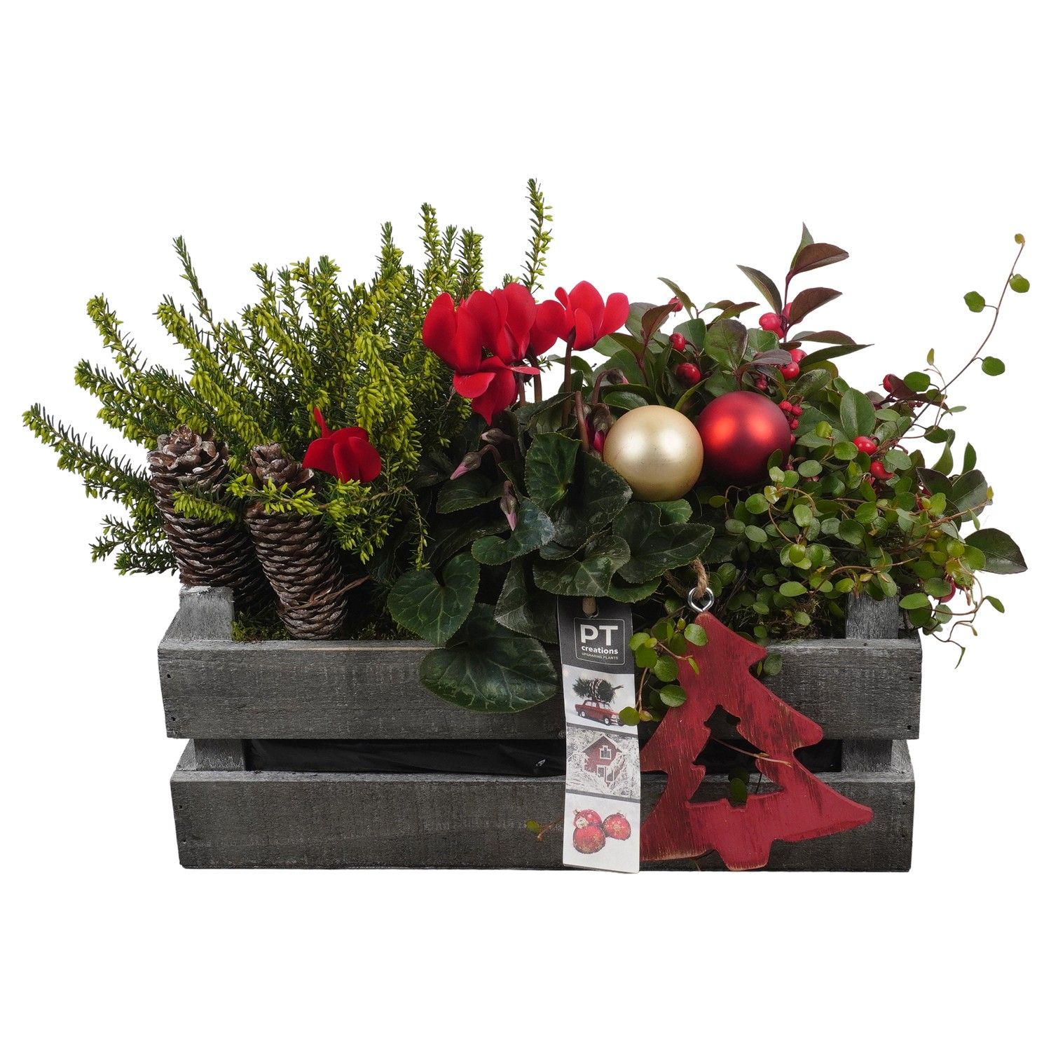 PTWO1902 Arrangement Winter Outdoor in houten bak, D 30 cm PTWO1902 Arrangement Winter Outdoor in houten bak, D 30 cm