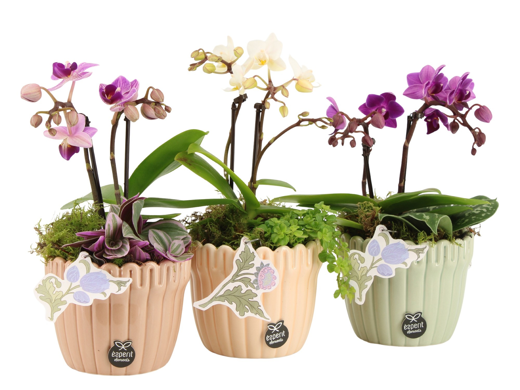 21919: Contradiction arrangement, D 10