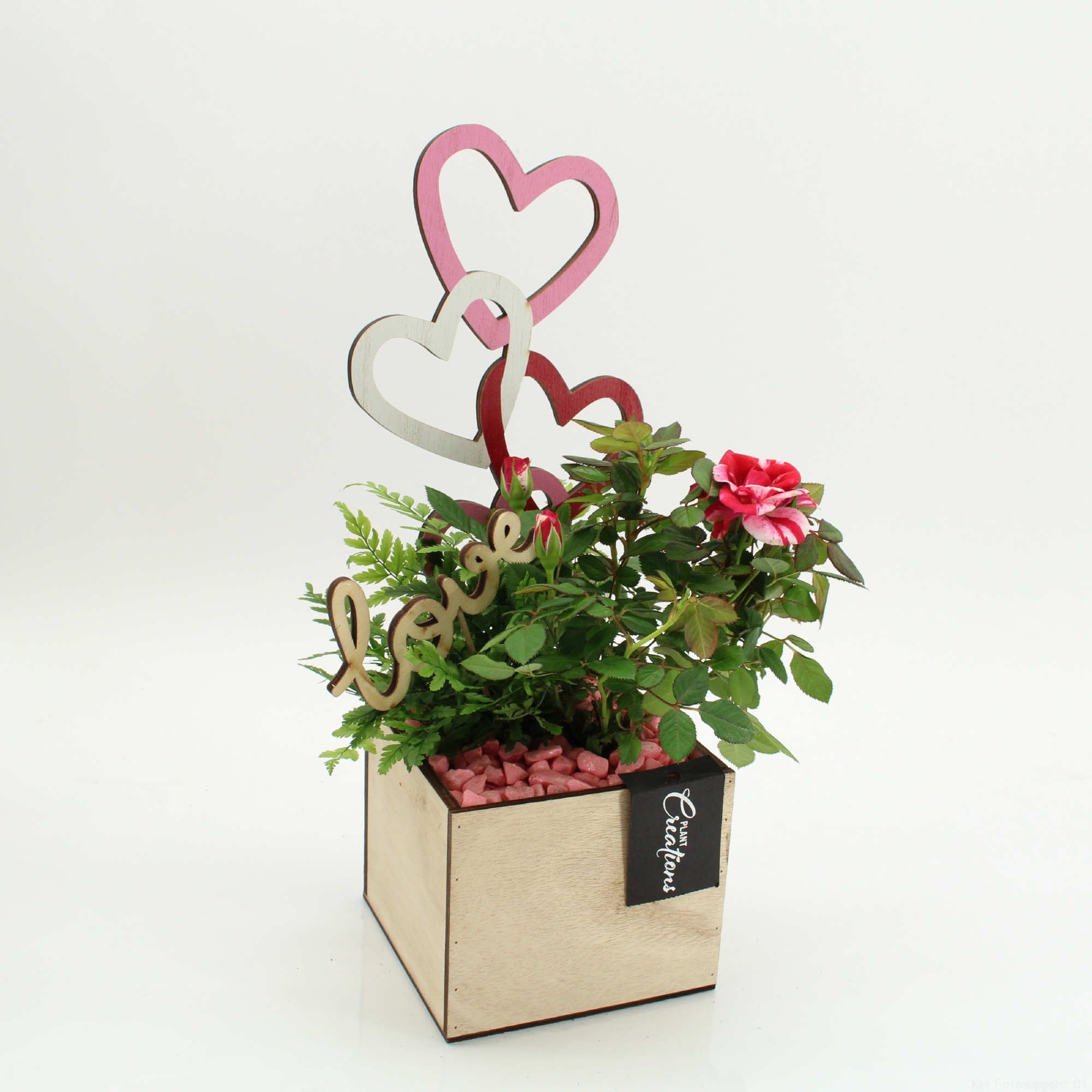 RMCR-2609 Romantic Essentials, D 12