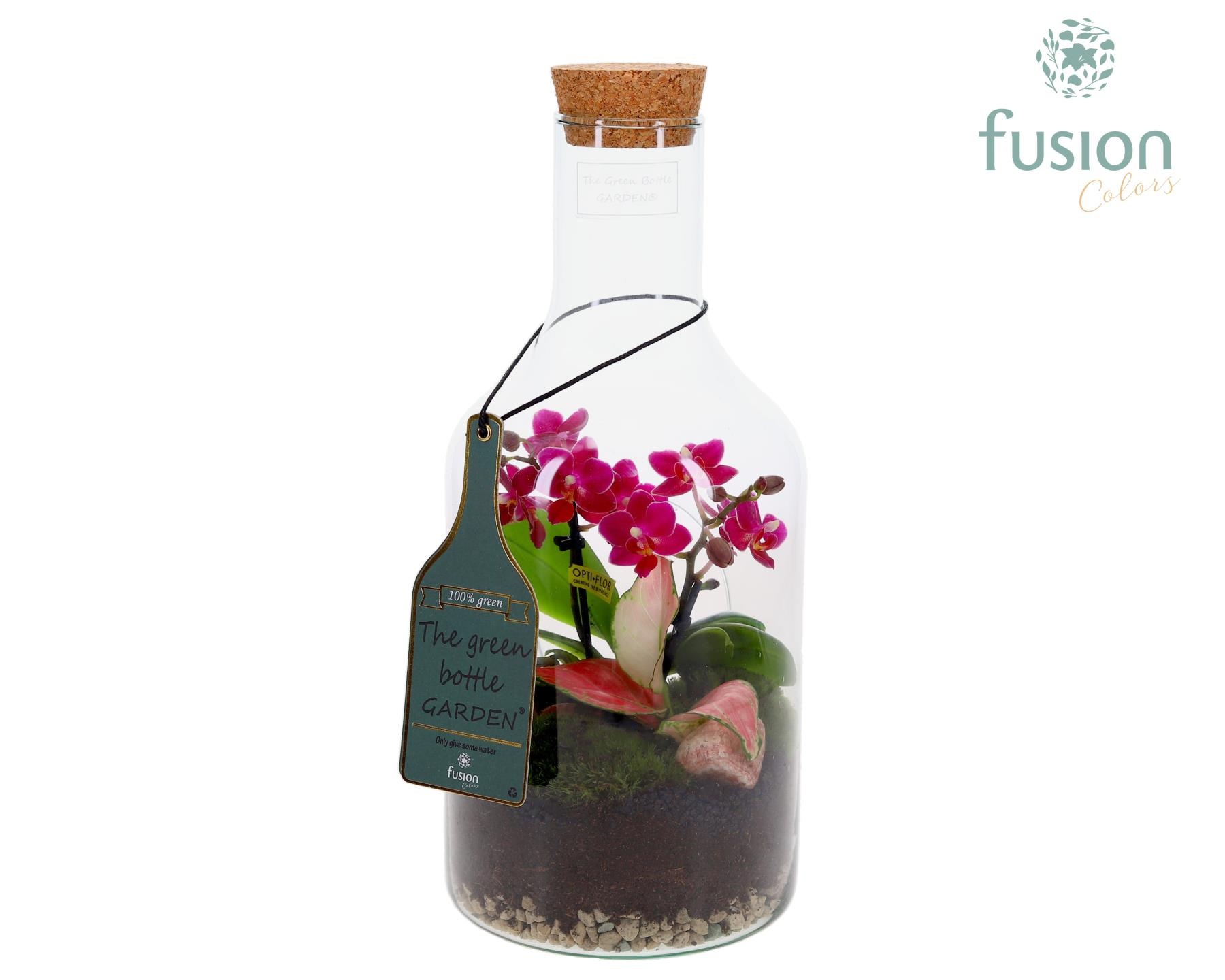 Green Bottle Fles Small met Phalaenopsis arrangement, D 15 cm
