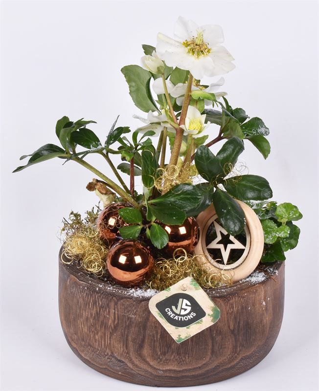 Hout schaal br. 19cm, D 19 cm