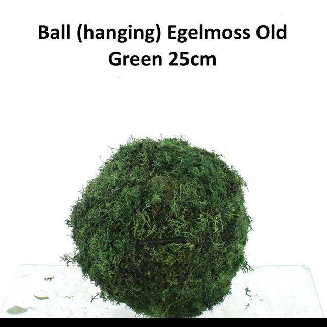 Мох Овериг Крашеный (краш. ), шт.