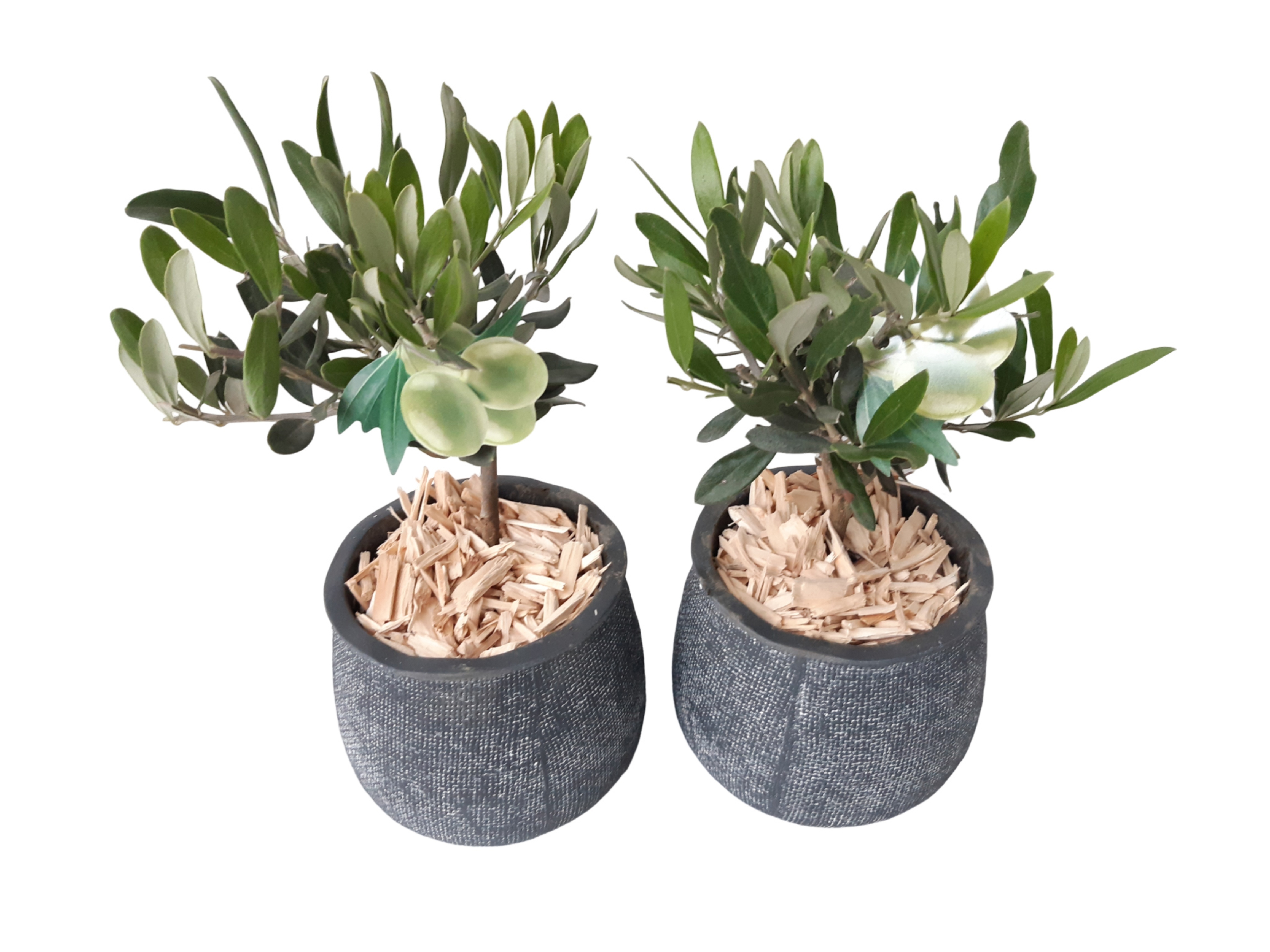 DKA11OLE Duke Pot Antraciet 11cm Olea Europaea, D 11