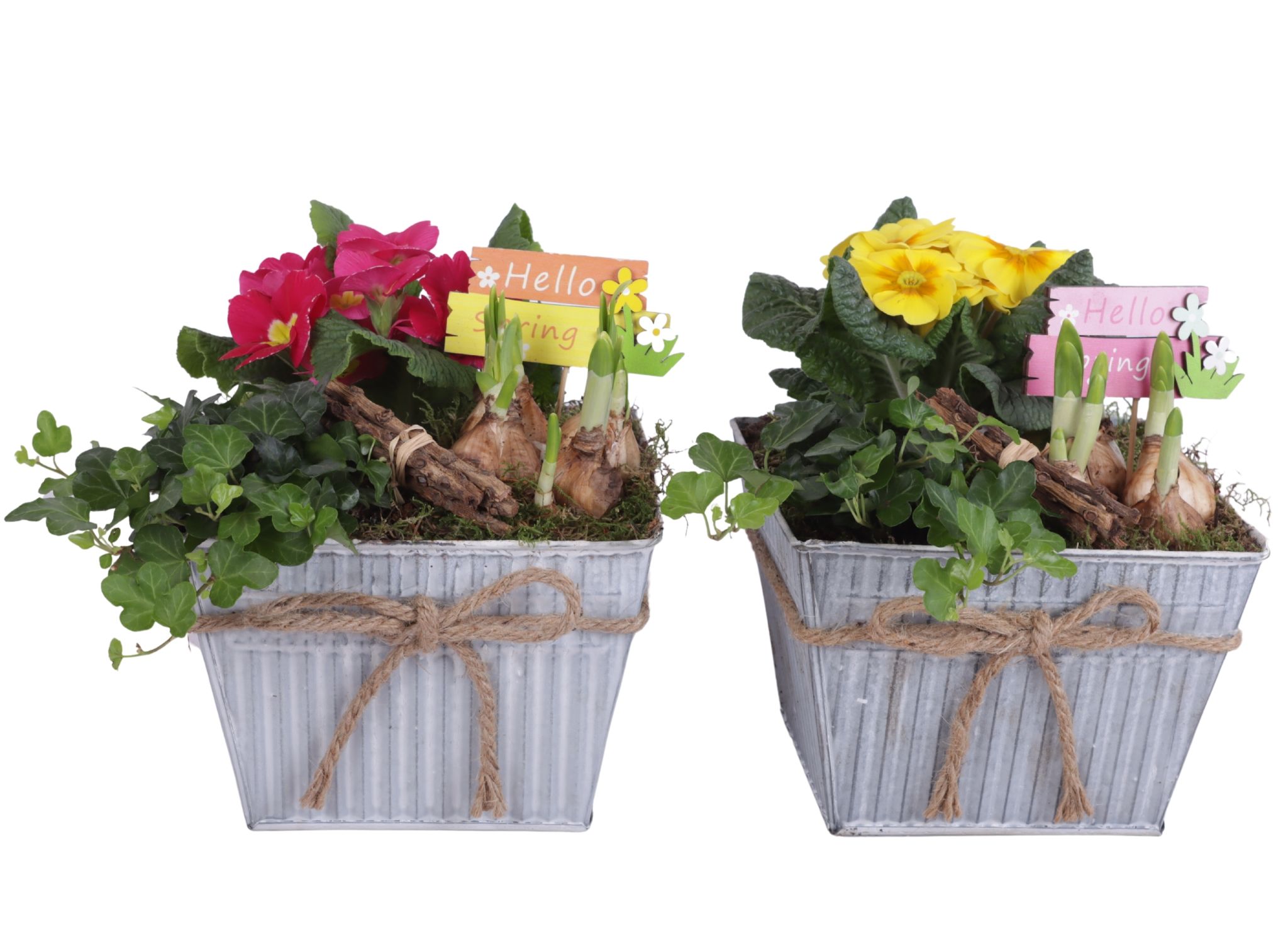 Early Spring Arr. Outdoor Zinc Pot Square with Rope Ø19cm 3PP, D 19