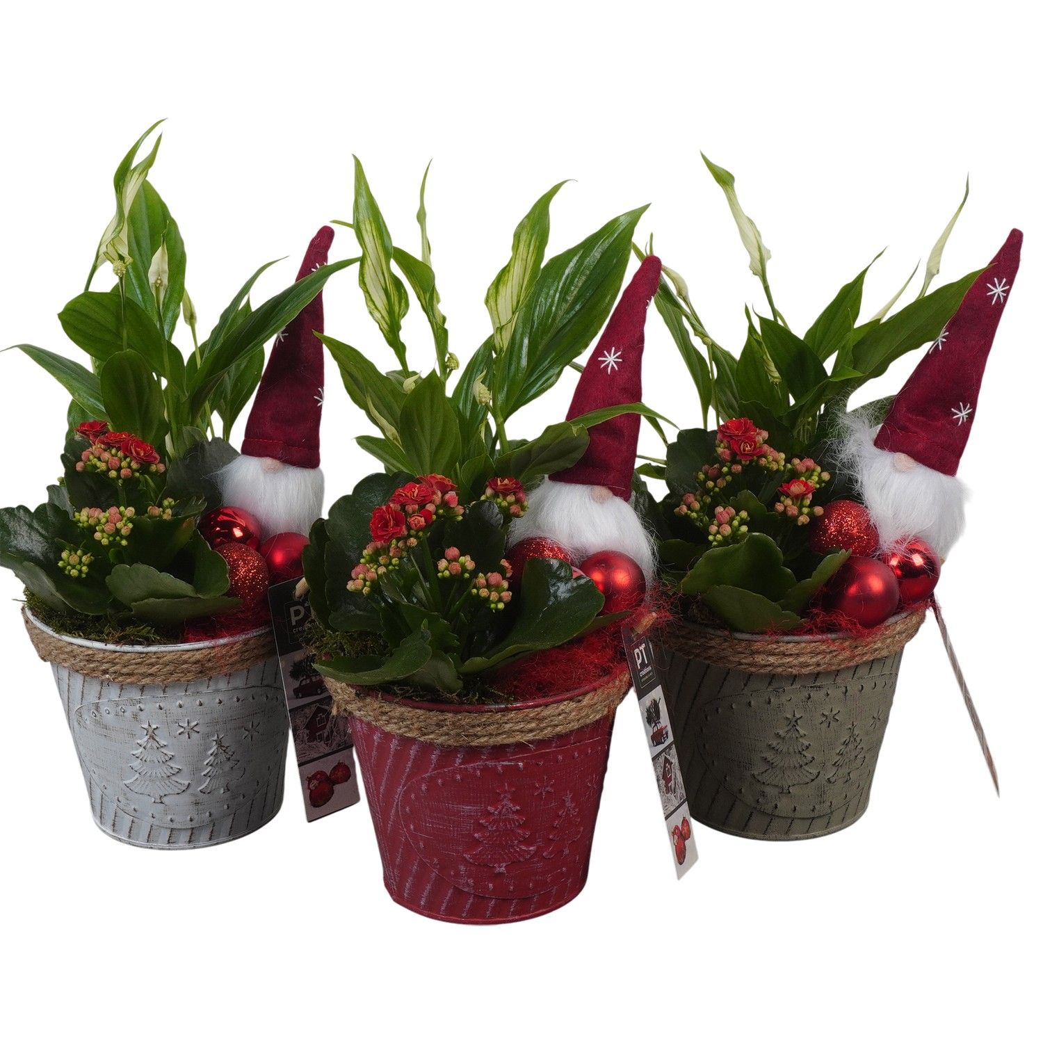 PTCHR7317 Arrangement Christmas Red in metaal pot, D 13 cm