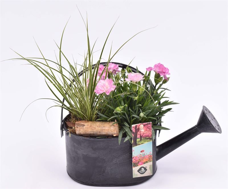 Zink gieter grijs 23x11cm, D 15