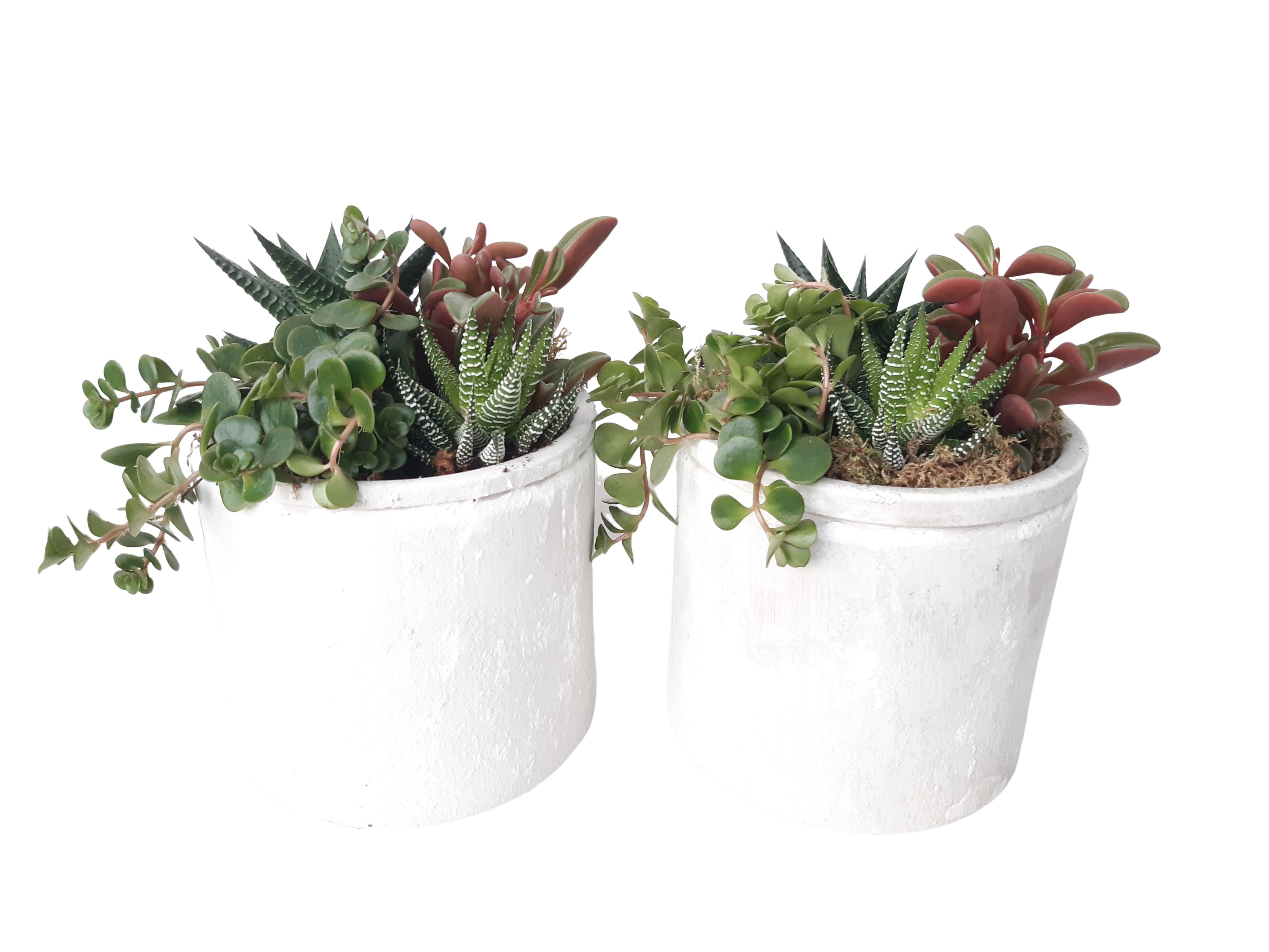 PP14HMX Planter Pot Keramiek 14cm mini plant mix, D 14