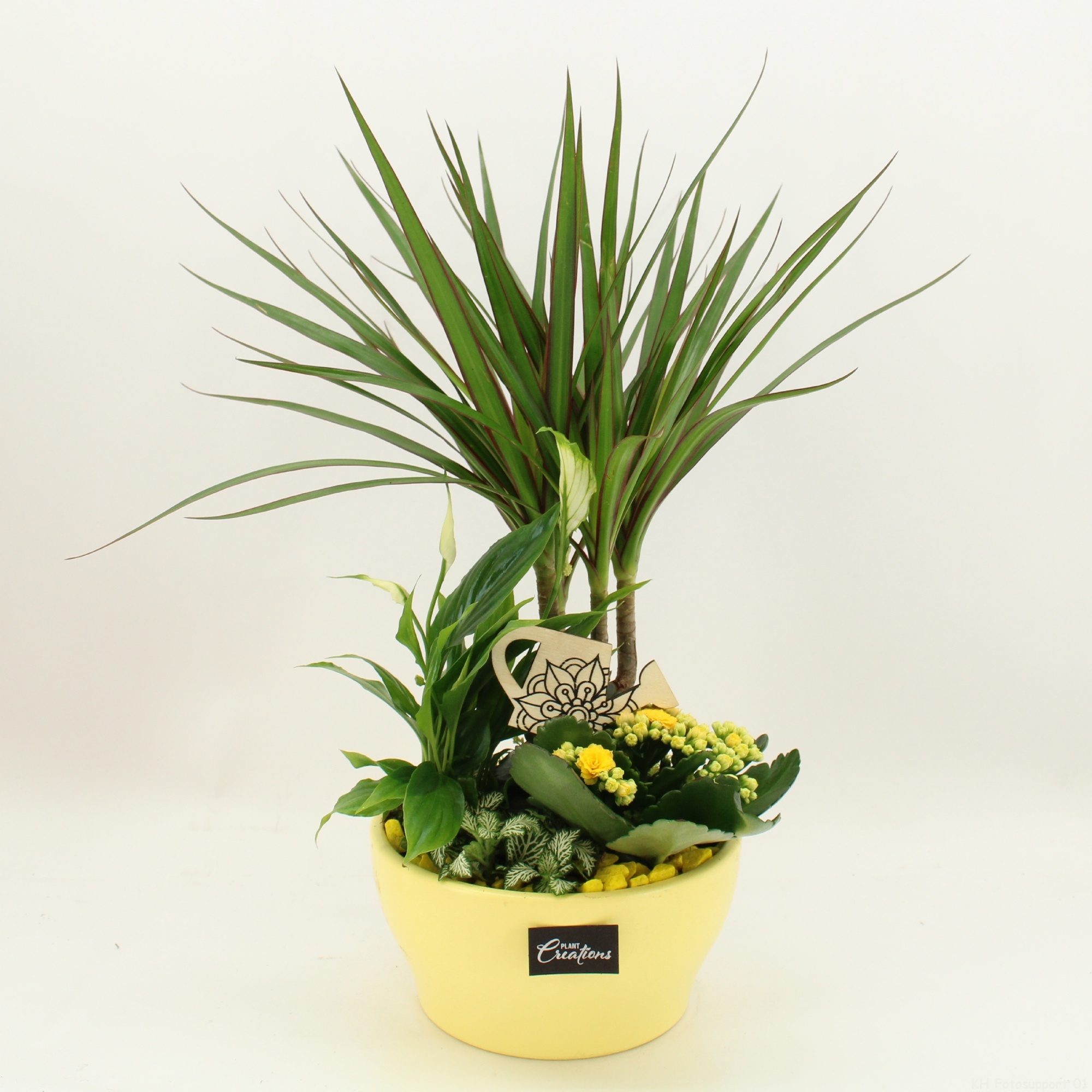 FDCR-2609G Basic Fundamentals, D 19