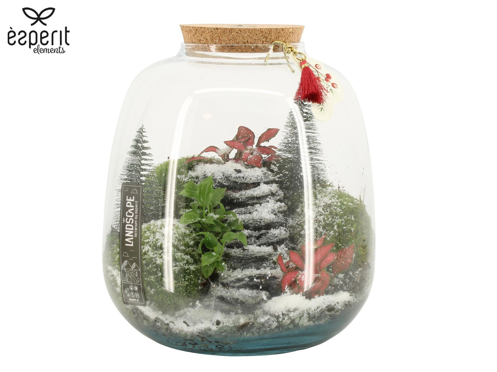 90954: X-mas Landscape terrarium arrangement, D 23