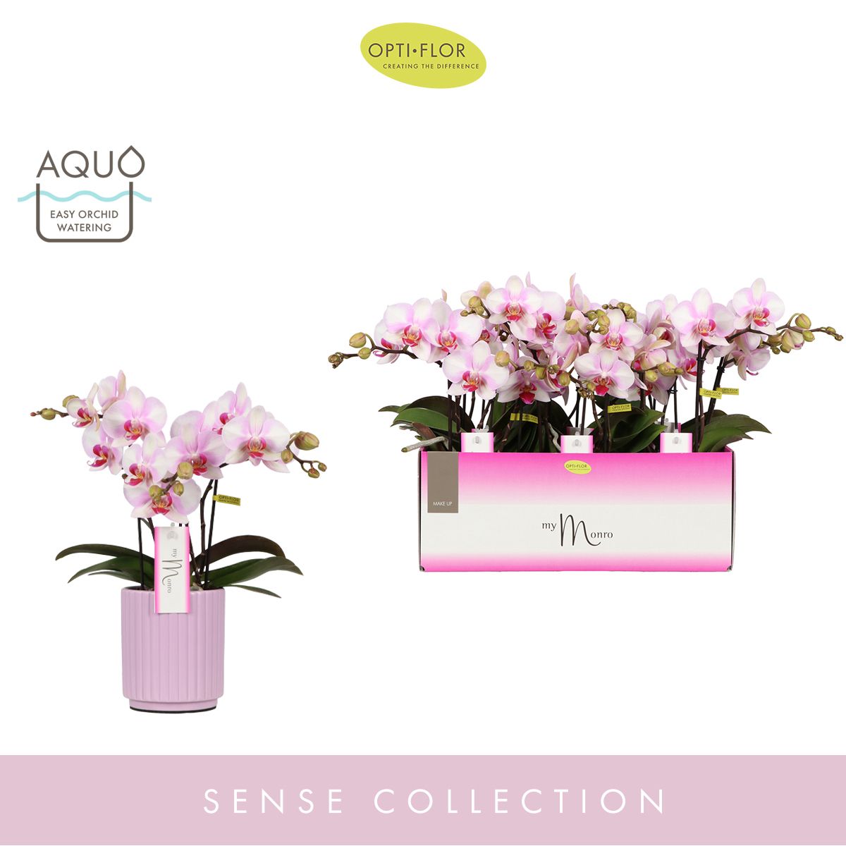 MyMonro Make-up 3 spike in Molise Lilac Aquo, D 12 cm