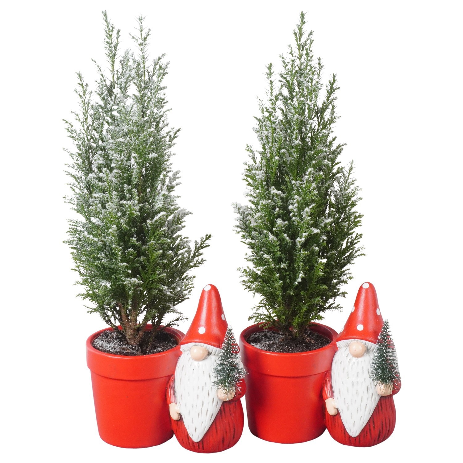 PTK26788 Ellwoodii met sneeuw in keramiek pot, D 17