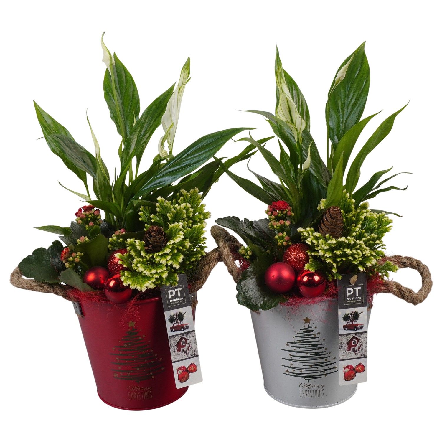 PTCHR7323 Arrangement Christmas Red in metaal pot, D 14 cm