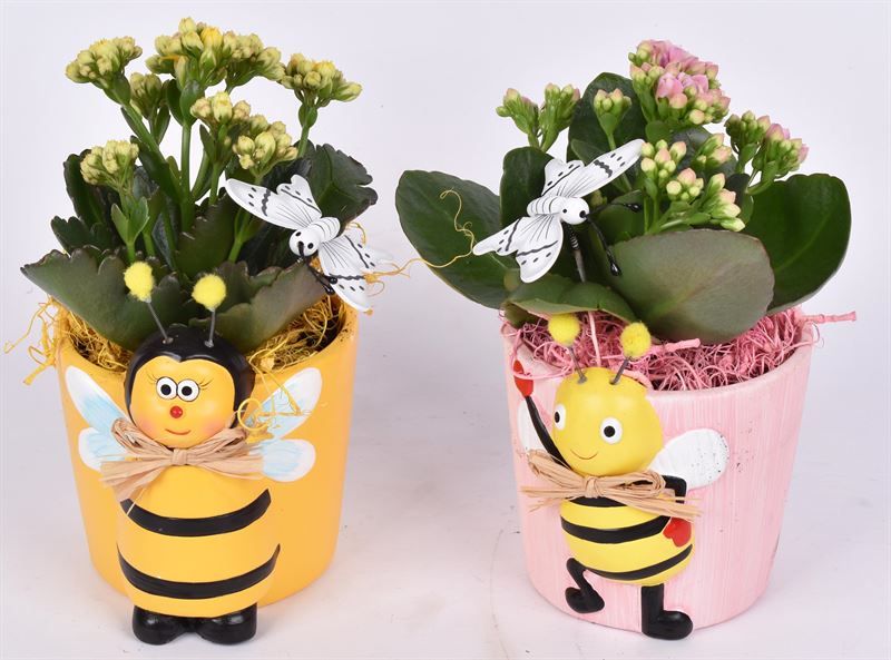 Keramiek "Bij" pot 10cm, D 11