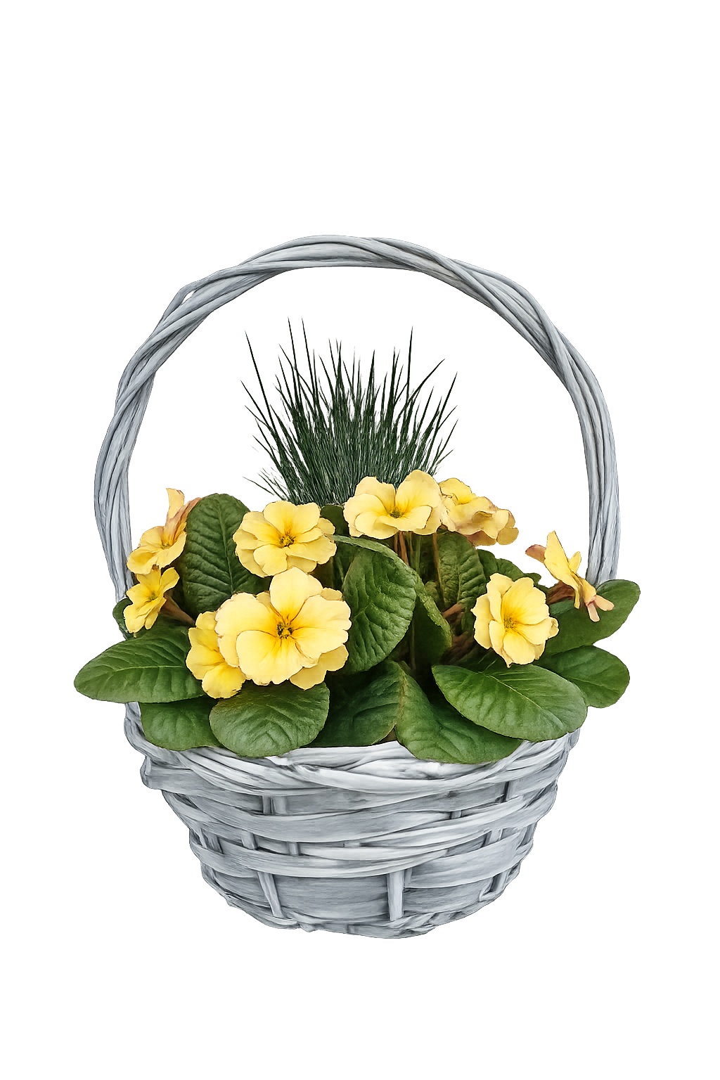 PRF116(612)-9323 Primula/Festuca wilg grijs hengselmand, D 25