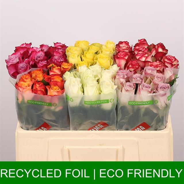 Роза од. Микс в баке 50, шт.