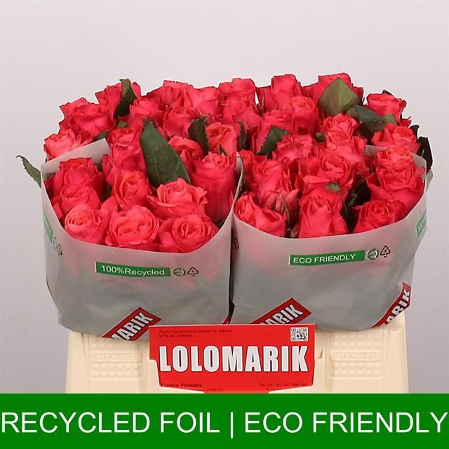 Роза од. Пинк Такази+ 35, шт.