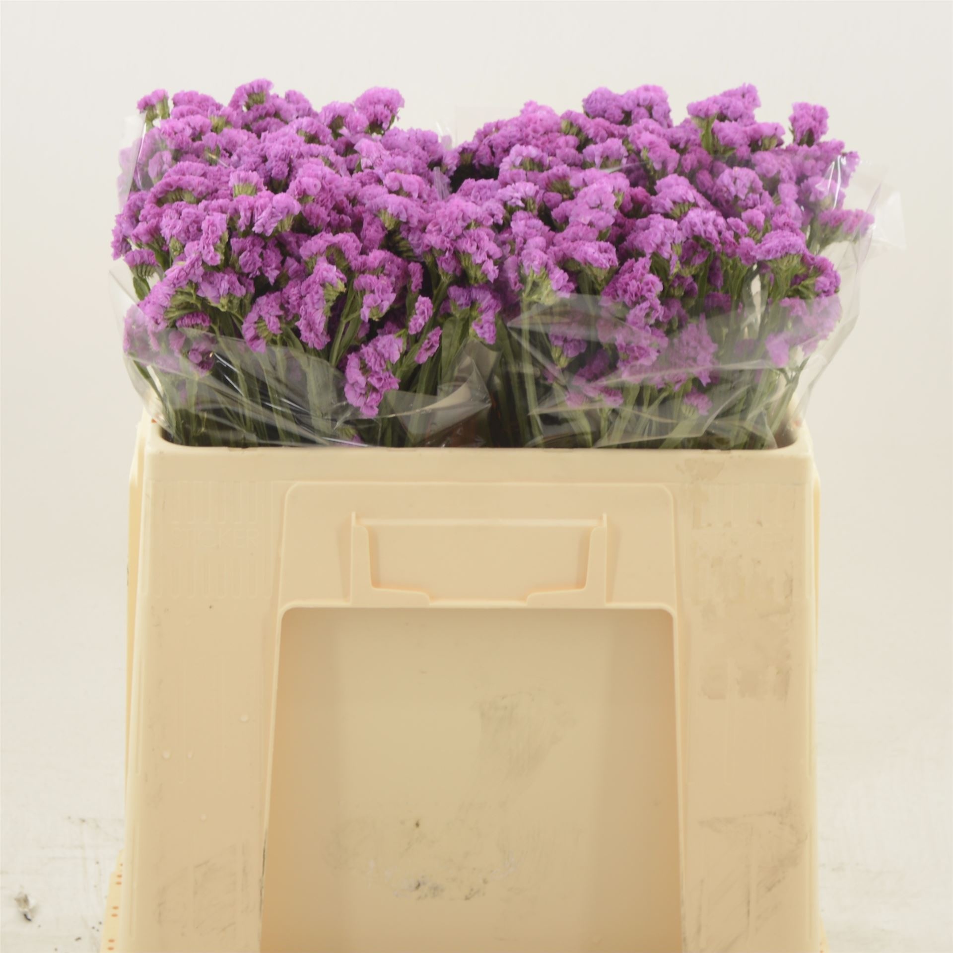 Статица Харт Вингз 50, шт.