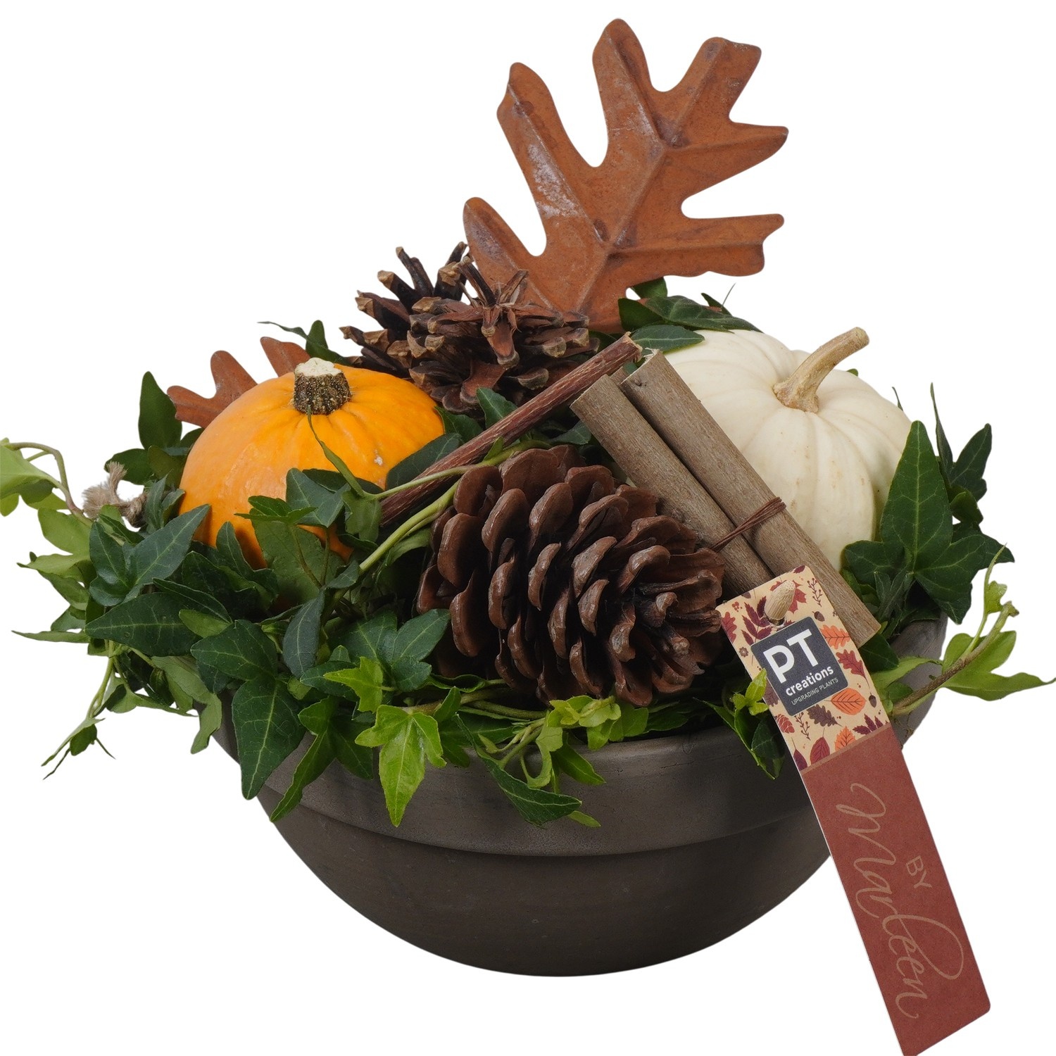 PTSF8228 Arrangement Kalebas hedera in terracotta schaal, D 19 cm