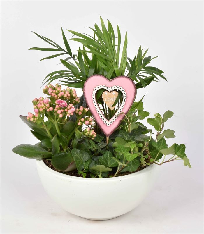 Keramiek schaal wit 20cm, D 20