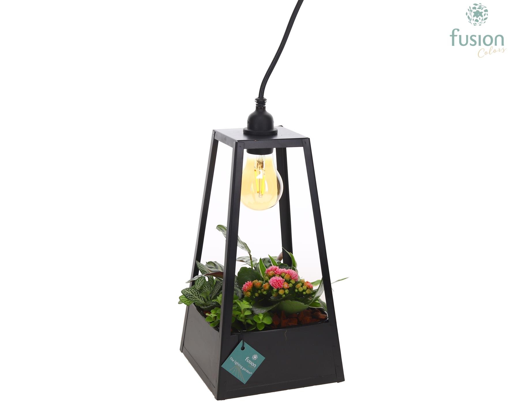 Lantaarn metaal zwart met verlichting met arrangement, D 18