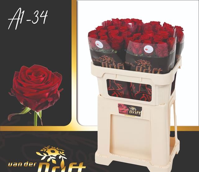 Роза од. Рэд Наоми 70, шт.