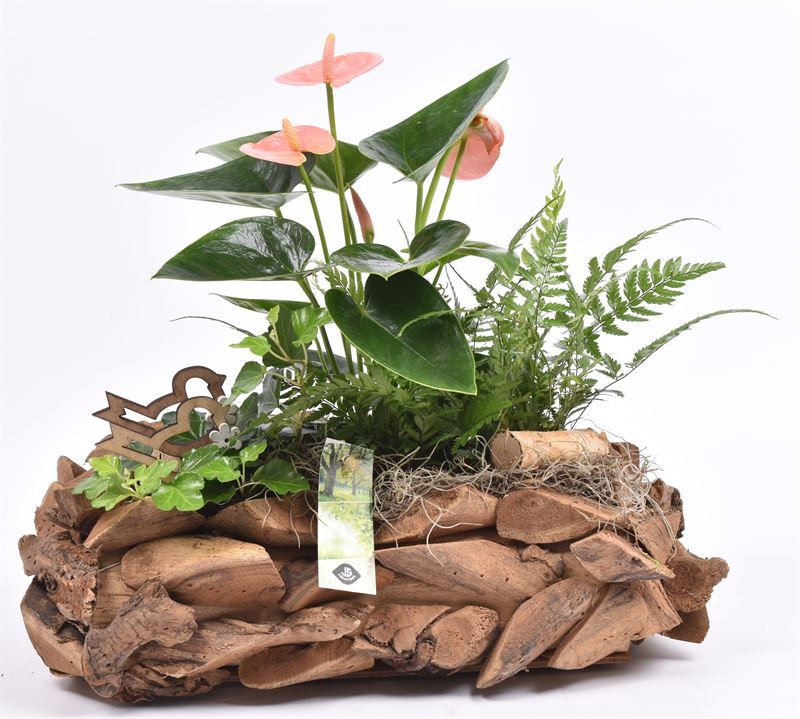 Natuur boomschors 35x20cm, D 32