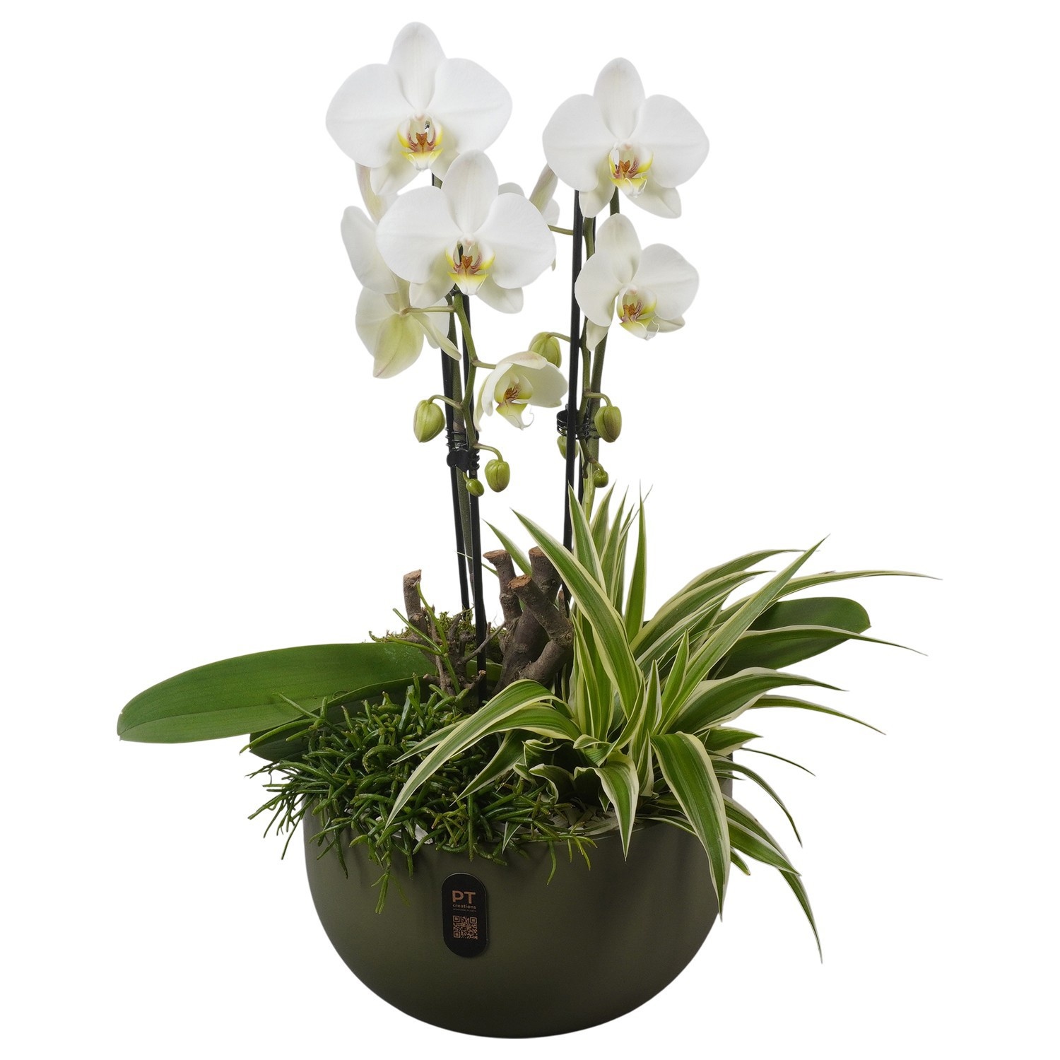 PTIB5148 Arrangement Indoor in keramiek schaal, D 26