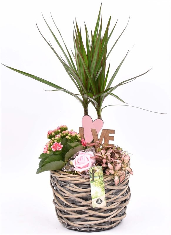 Wilg mand grijs 18cm, D 18