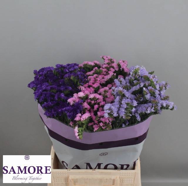 Статица Микс 45, шт.