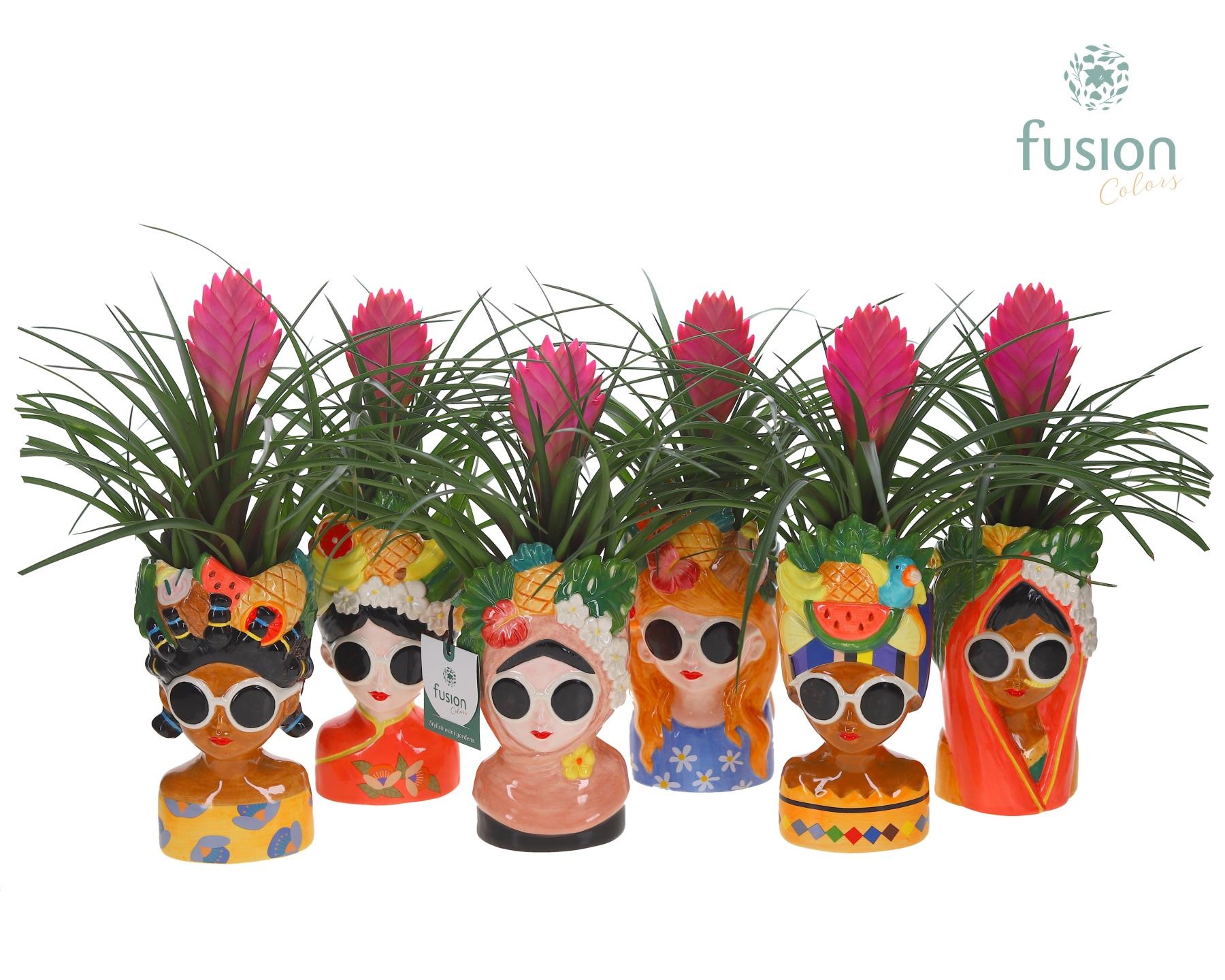 Keramiek Wereldvrouwen met Tillandsia, D 10