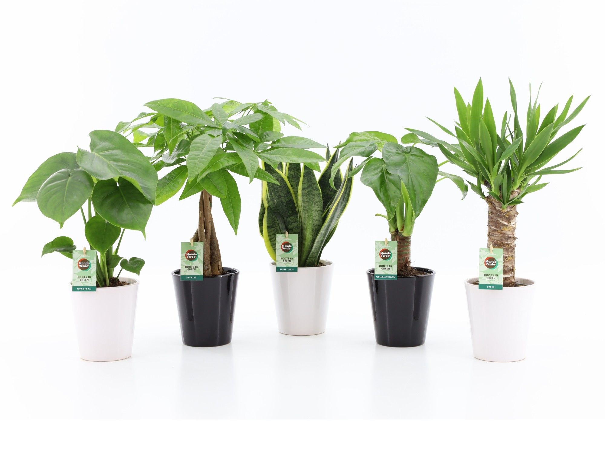 Tropic Mix in Zwart & Wit Keramiek, D 13