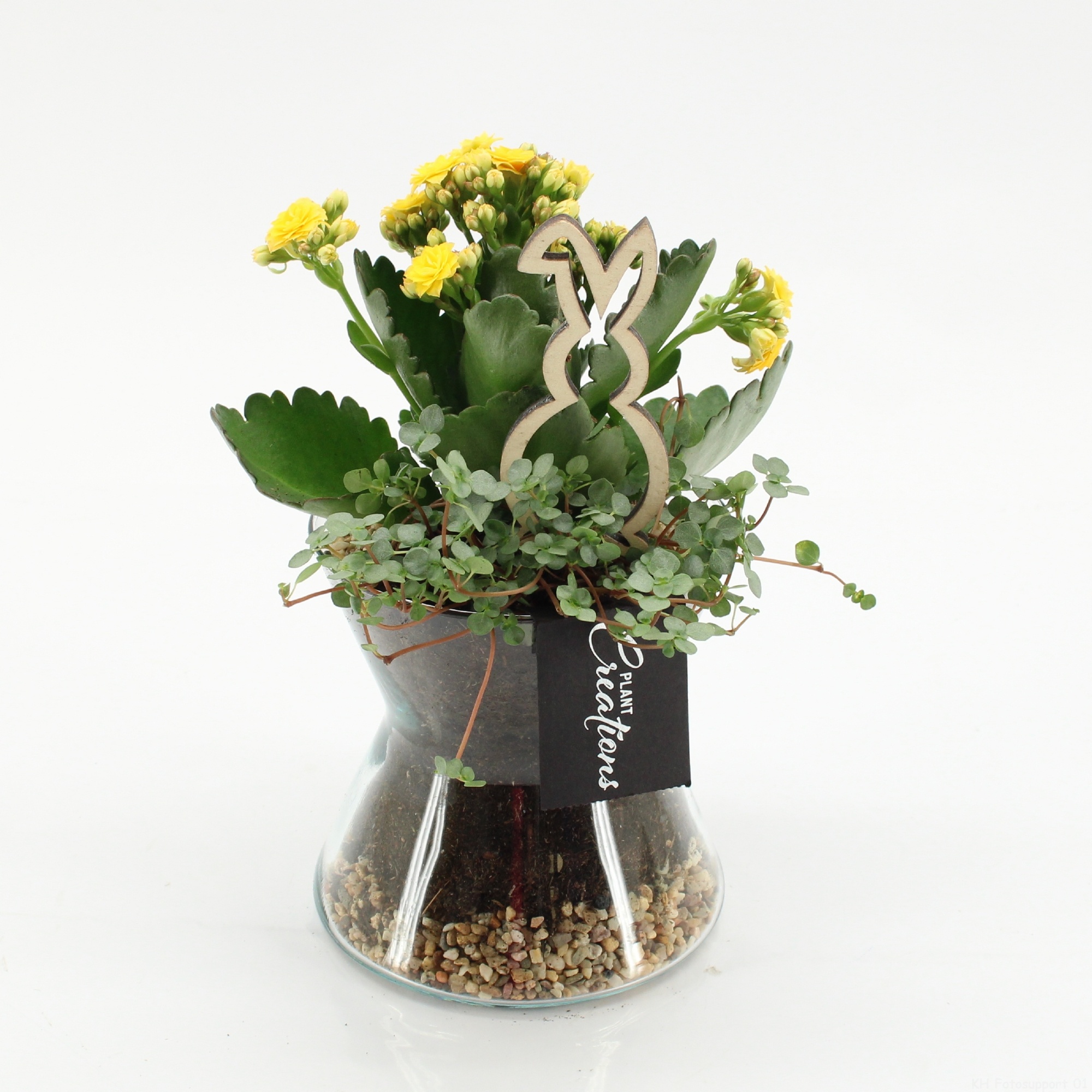 PSCR-2612G Easter Essentials, D 12