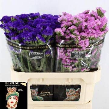 Статица Овериг 75, шт.