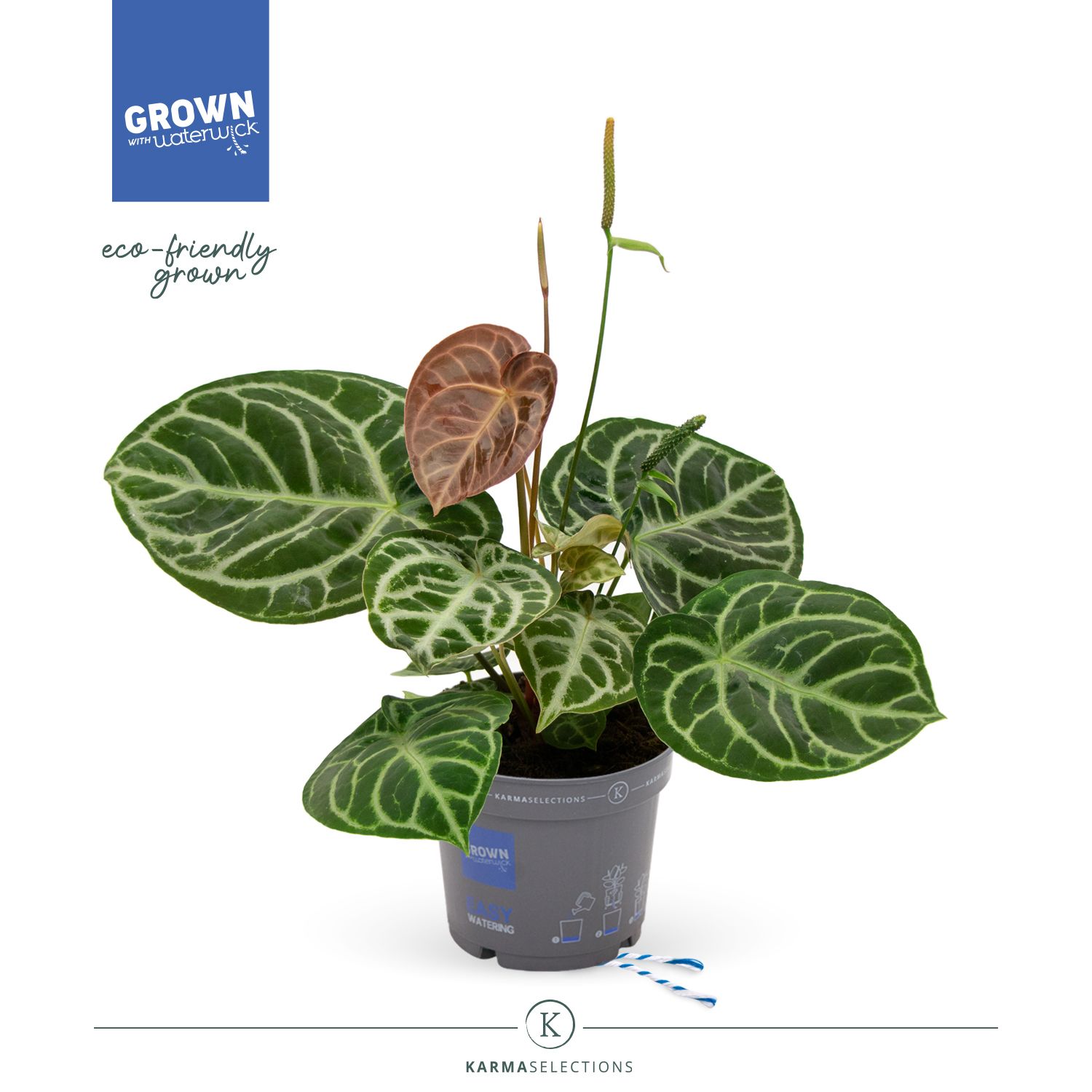 Mimesis Crystallium KARMA Crystal Hybride Compact - 17cm, D 17 cm