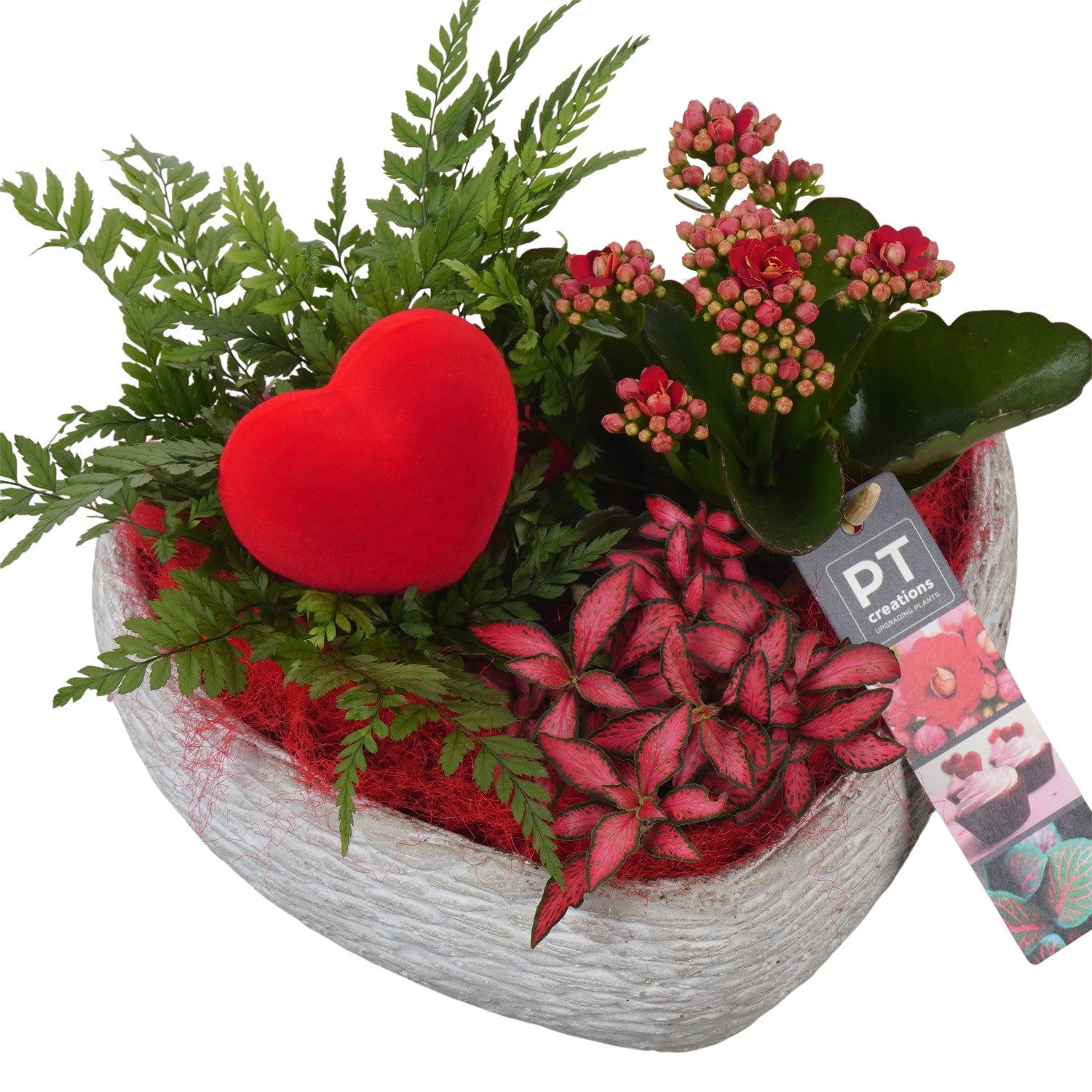 PTVMB2290 Arrangement Valentines-Mothersday in beton hart, D 21