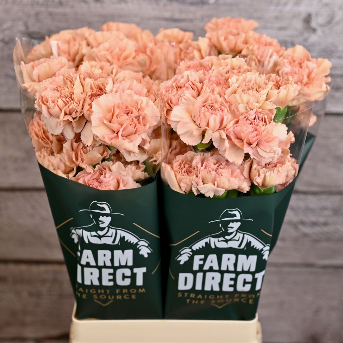 Диантус од. Карамель, шт.