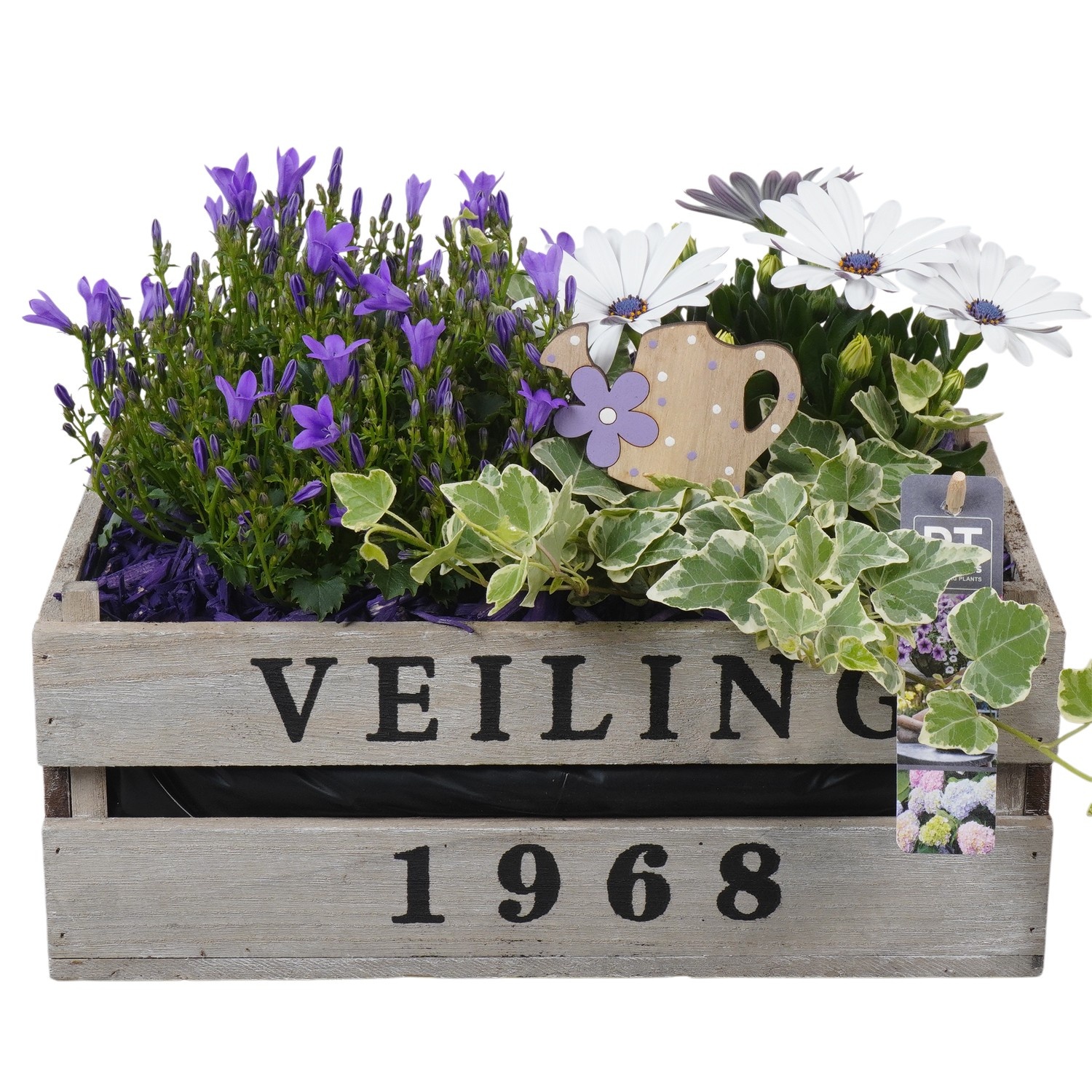 PTPP7008 Arrangement Patio in houten bak, D 30