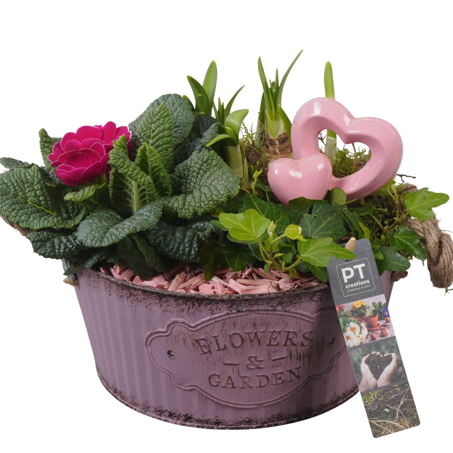 PTVO3610 Arrangement Valentine Outdoor in metalen schaal, D 22
