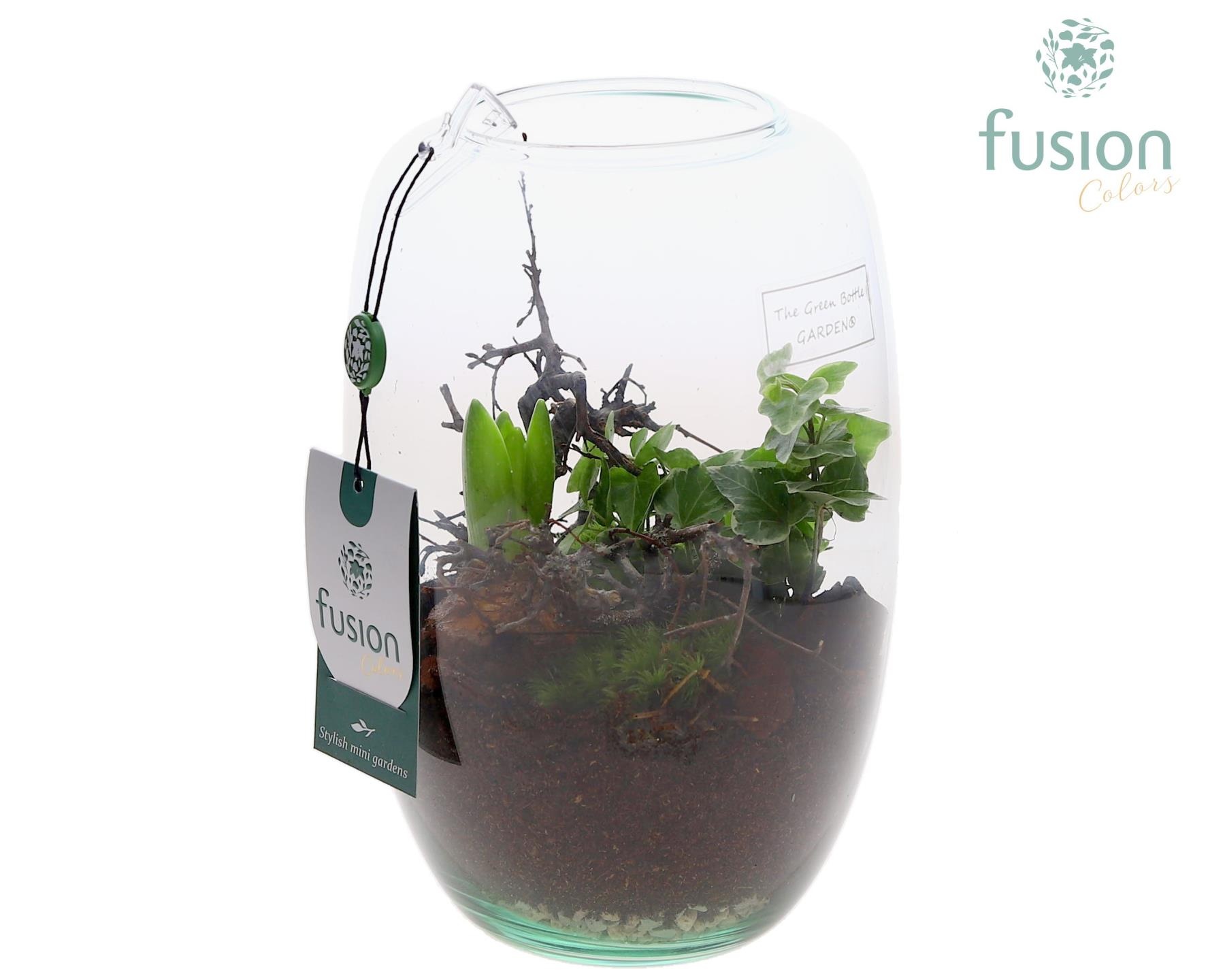 Green Bottle Isabella Small met Hyacint arrangement, D 15