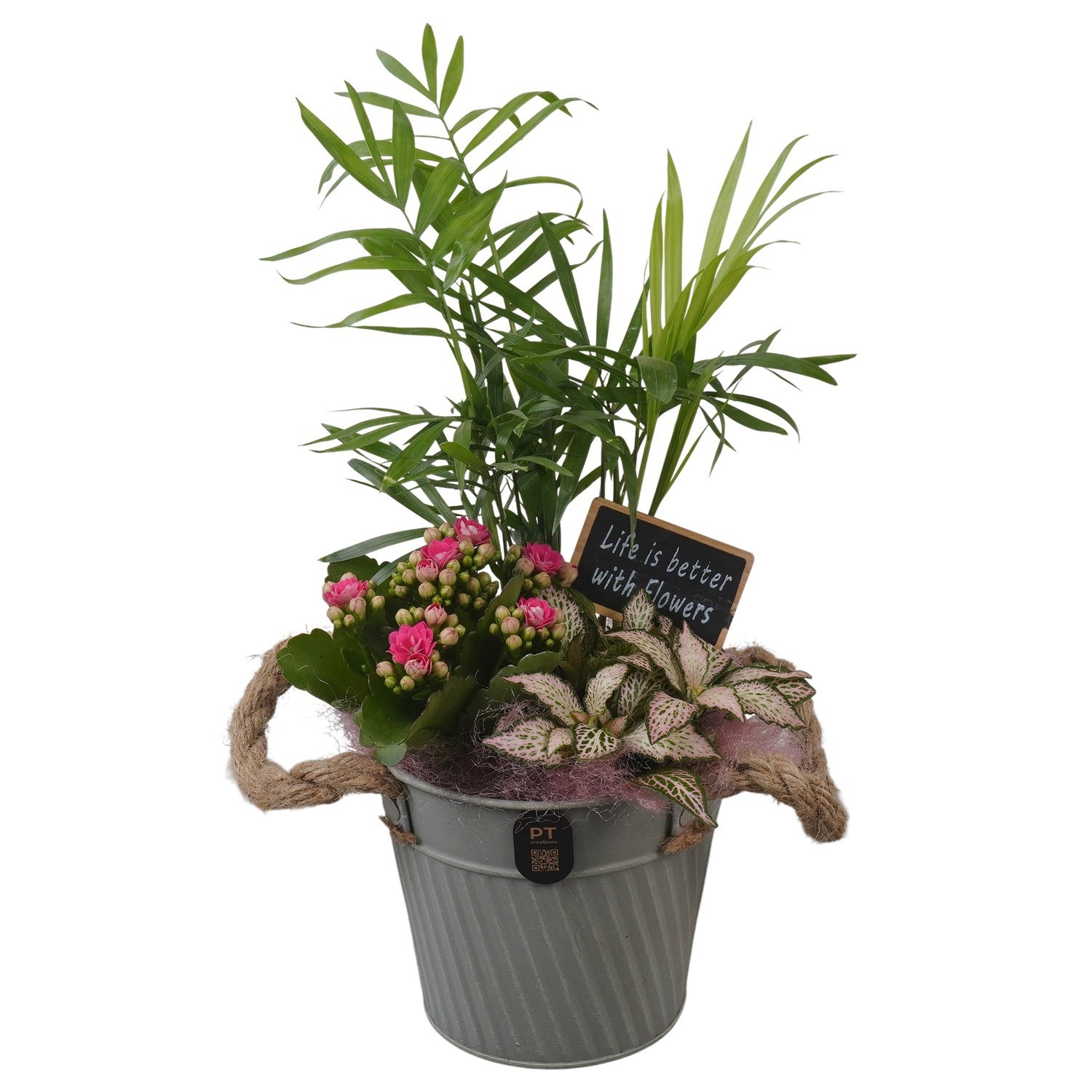 PTIB5285 Arrangement Indoor in metalen pot, D 13