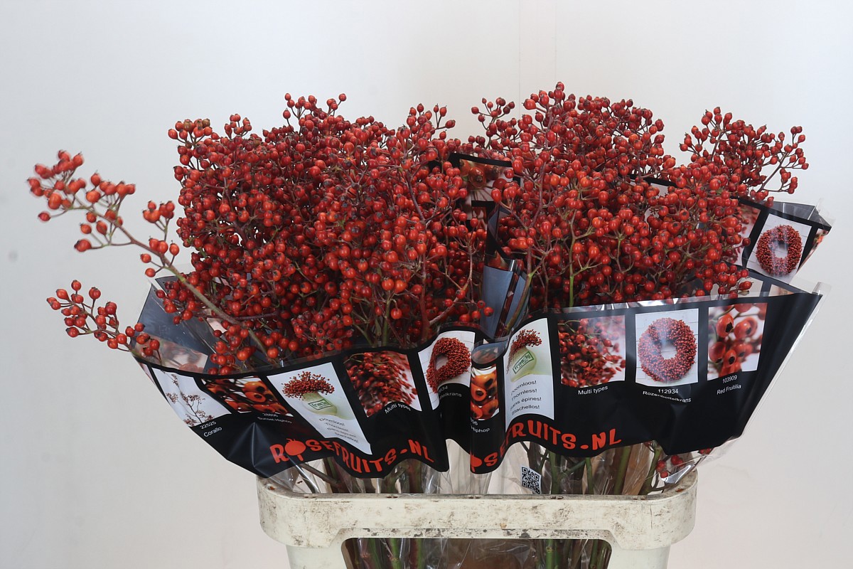 Рузботель Отем Роузфрутс 90, шт.