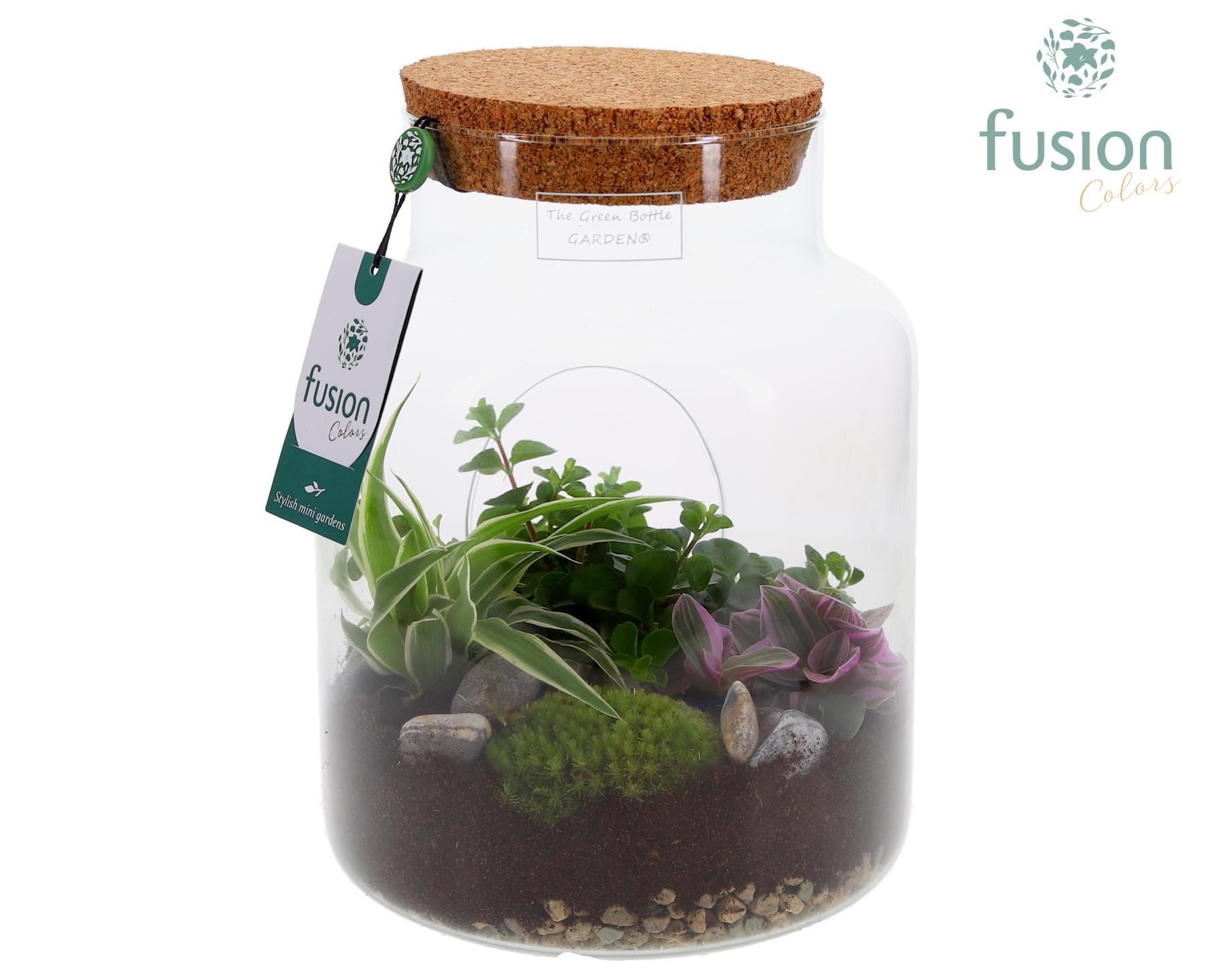 Green Bottle Pot Medium met Groen planten, D 19