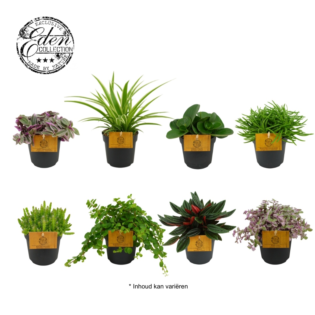 mix kar 10,5cm, D 10,5 cm