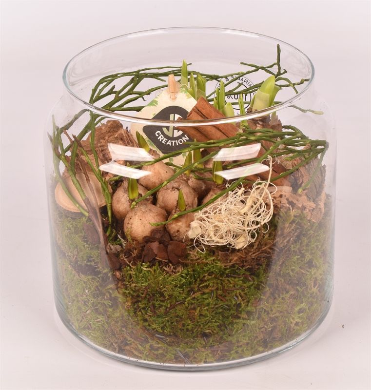 Glas cilinder 18cm, D 18