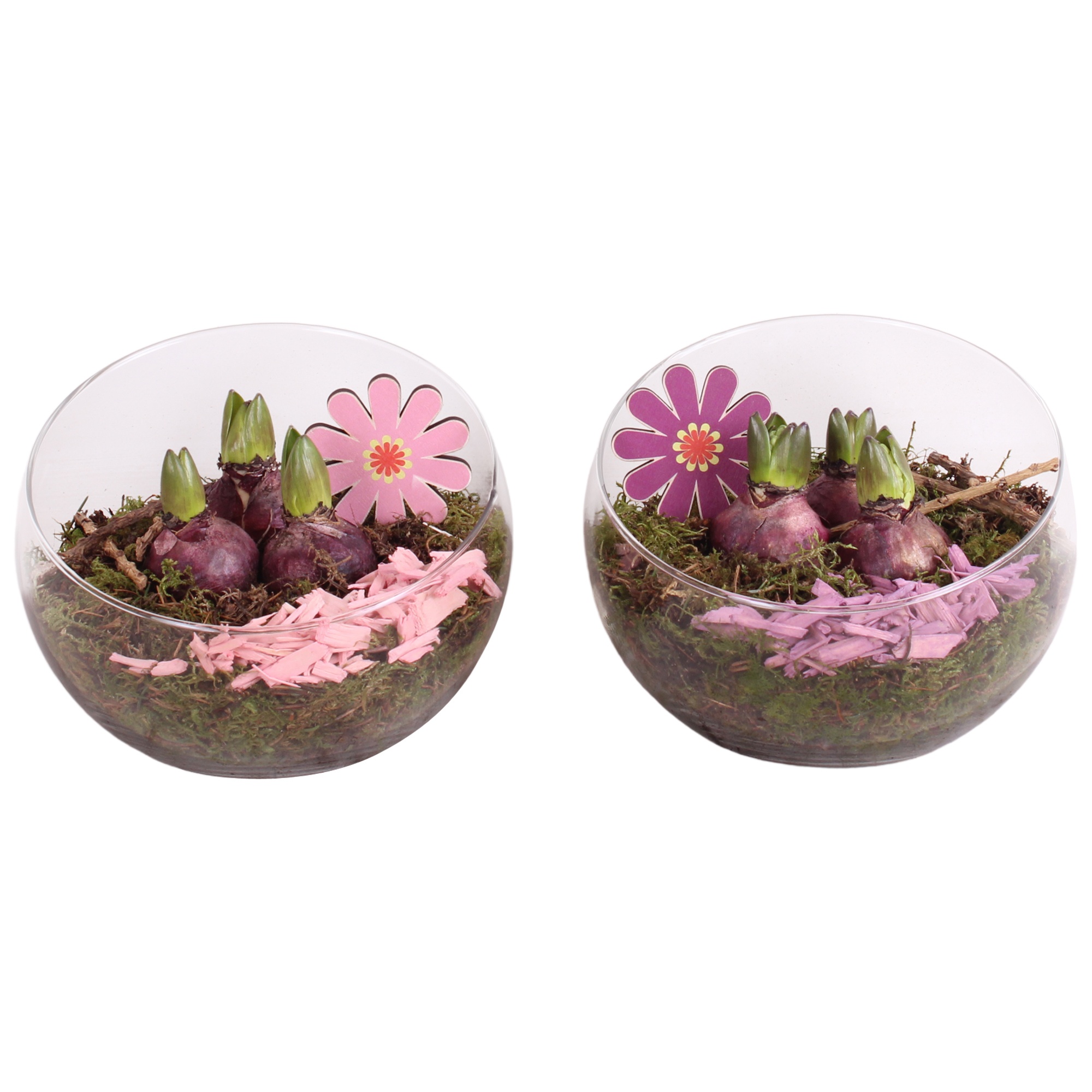 Spring Arr. Hyacint Glass Bowl Vase Ø20cm 3PP, D 20