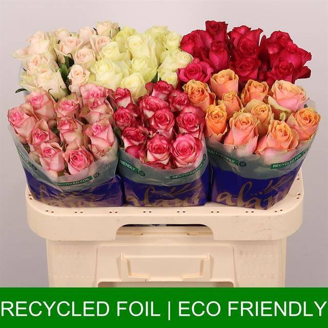 Роза од. Микс в баке 60, шт.