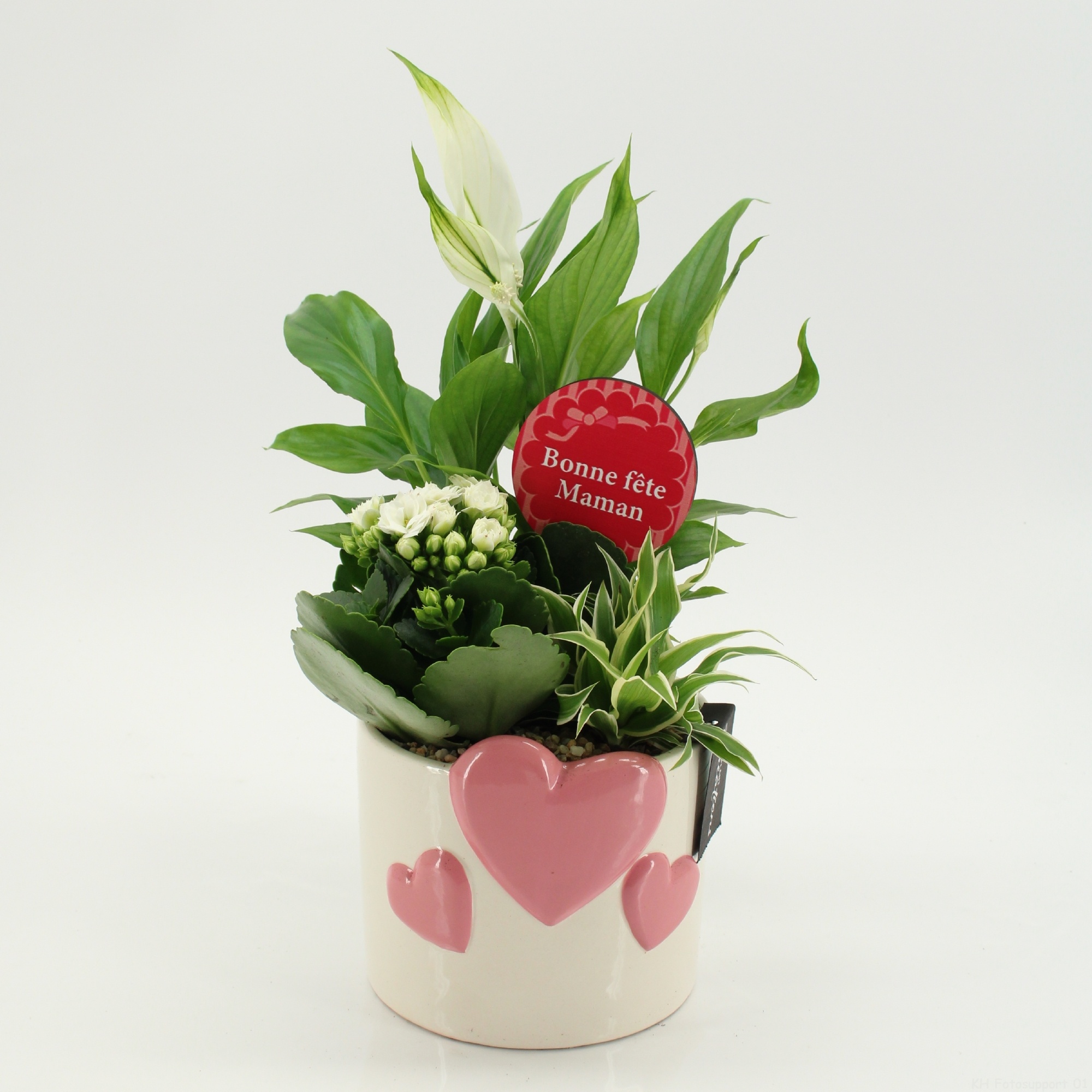 FRMD-2608W Bonne Fete Maman, D 14